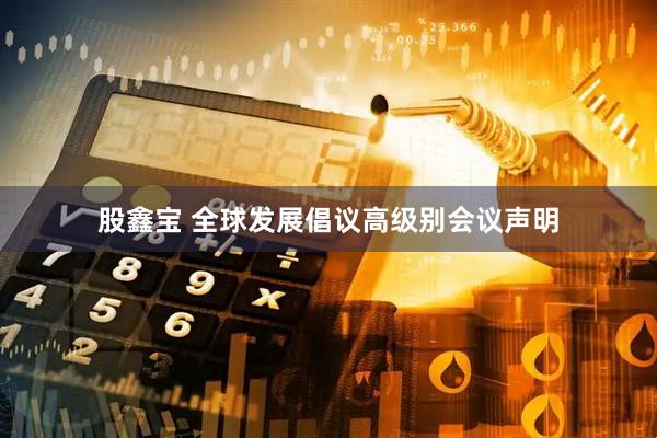 股鑫宝 全球发展倡议高级别会议声明