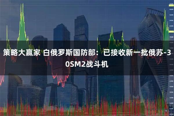 策略大赢家 白俄罗斯国防部：已接收新一批俄苏-30SM2战斗机