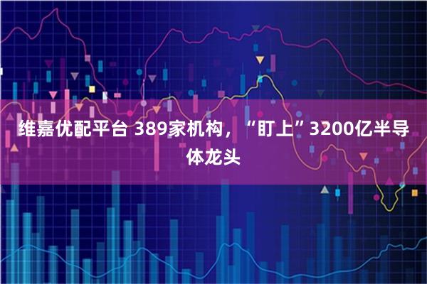 维嘉优配平台 389家机构，“盯上”3200亿半导体龙头